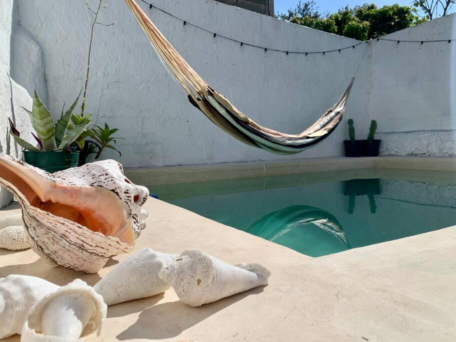 Casita Azul Colonial En El Centro De Merida. Bagian luar foto