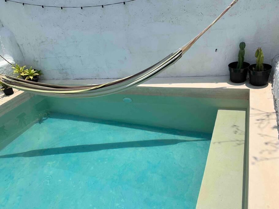 Casita Azul Colonial En El Centro De Merida. Bagian luar foto