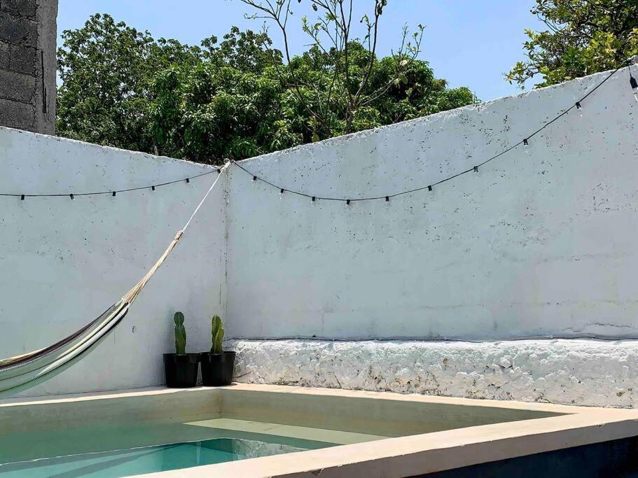 Casita Azul Colonial En El Centro De Merida. Bagian luar foto