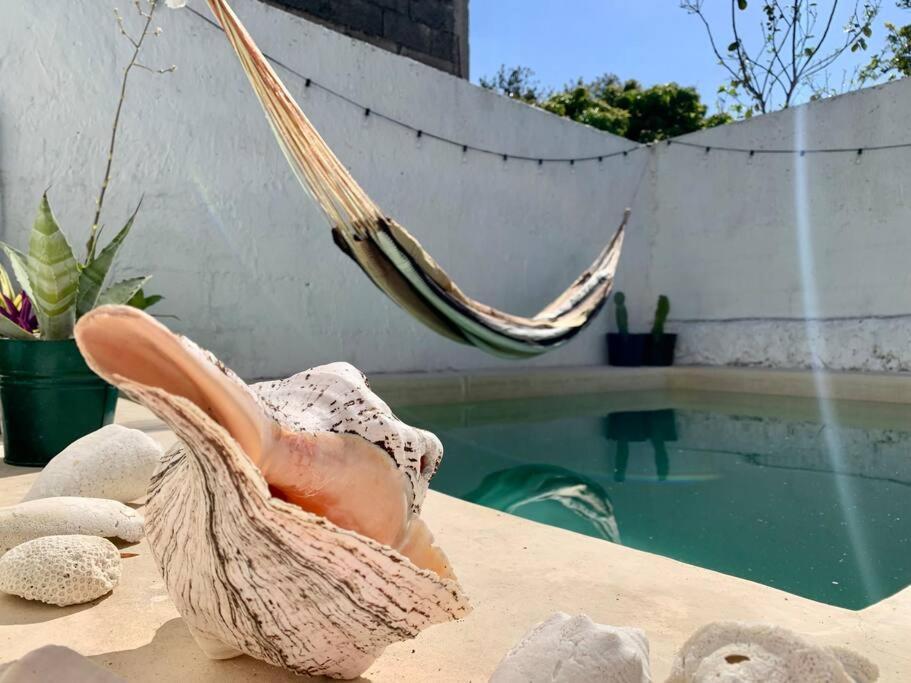 Casita Azul Colonial En El Centro De Merida. Bagian luar foto