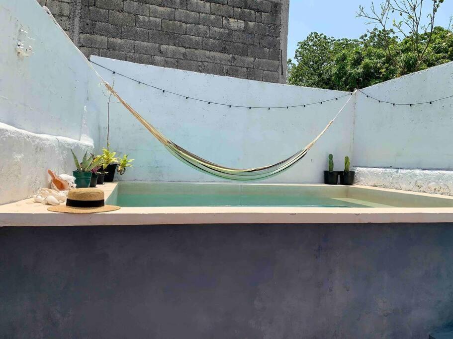 Casita Azul Colonial En El Centro De Merida. Bagian luar foto