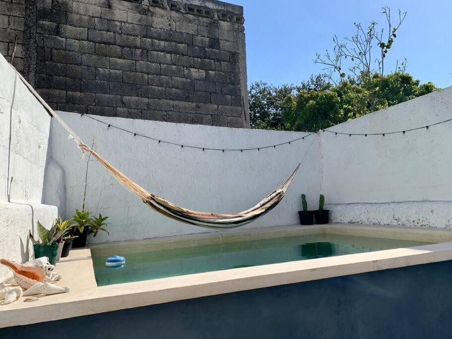 Casita Azul Colonial En El Centro De Merida. Bagian luar foto